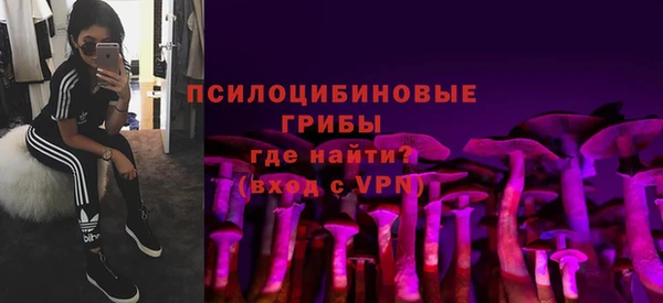 сатива Михайловск