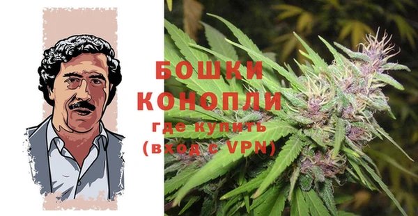MDMA Тайга